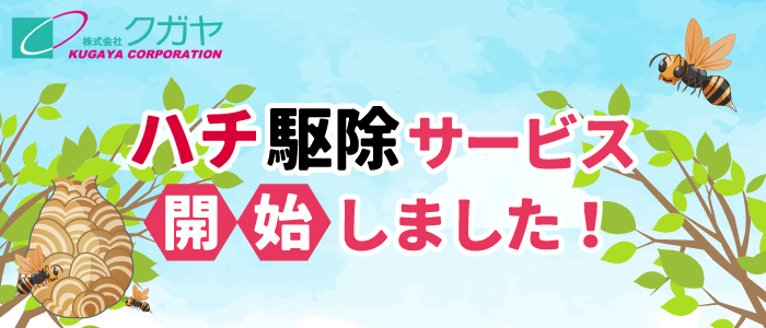 ハチ駆除サービス開始しました！
